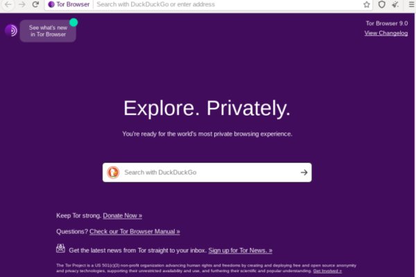 Kraken dark net