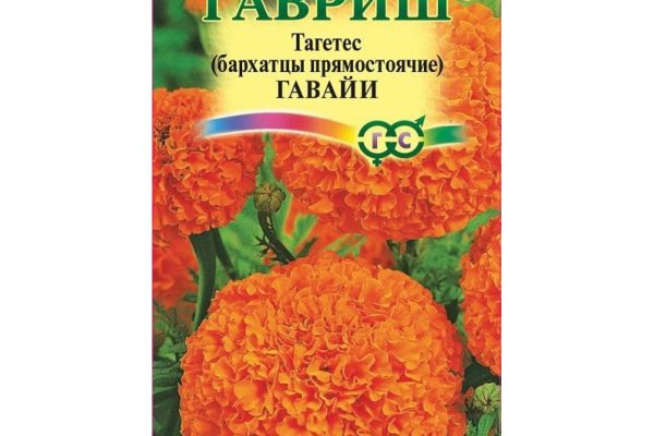Кракен актуальные