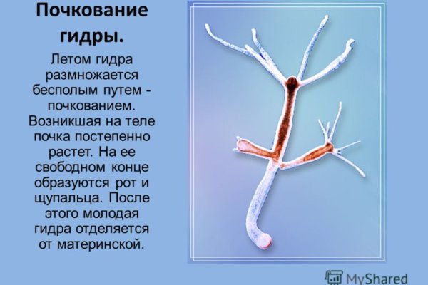 Кракен актуальная ссылка на сегодня