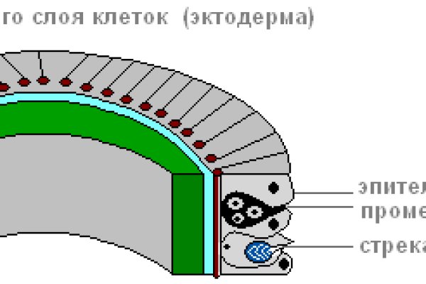 Кракен зеркало krk store com