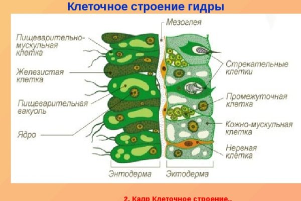 Не заходит на кракен