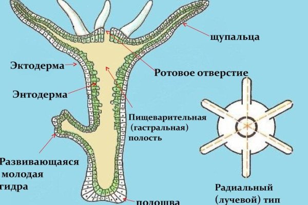 Кракен маркетплейс тор