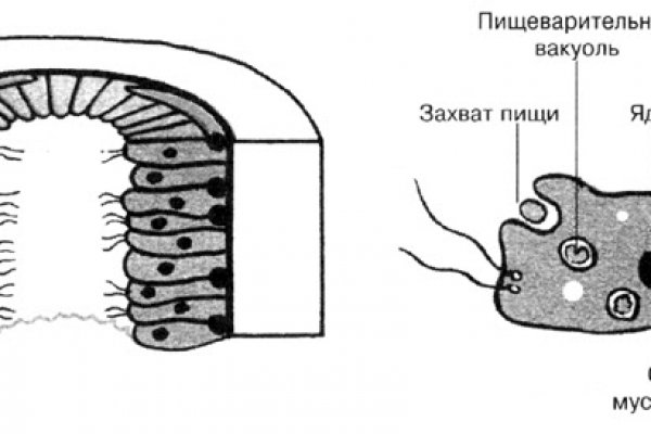 Гидра кракен